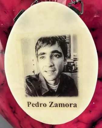 Portrait of Pedro Zamora